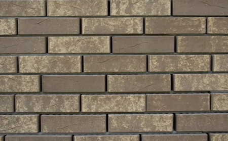 Кротовский Ламарк 1НФ